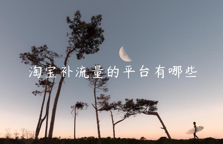 淘寶補(bǔ)流量的平臺(tái)有哪些